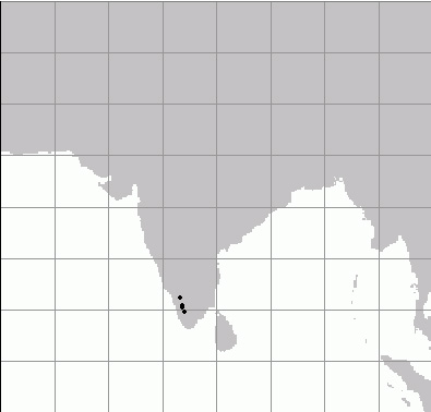 Fotó: Lila béka - előfordulás