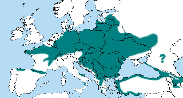 Fotó: Közép fakopáncs - előfordulás