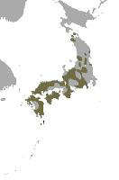 Fotó: Japán makákó - előfordulás
